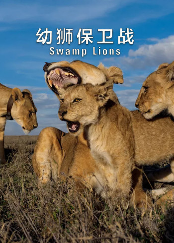 幼狮保卫战