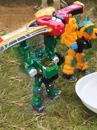 年轻的保姆5线观高清