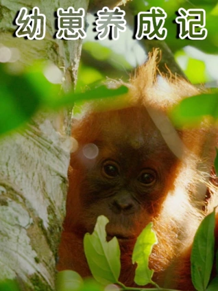 幼崽养成记普通话版
