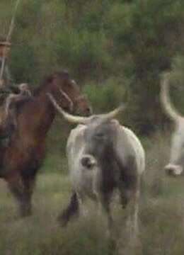 意大利的狂野西部